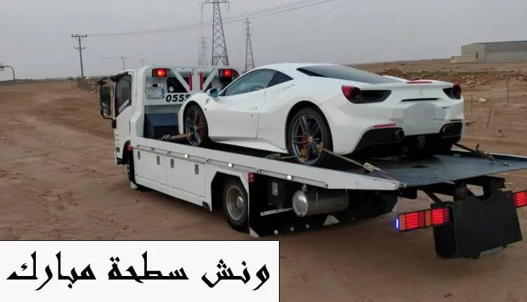 صورة 17 - وصف الصورة