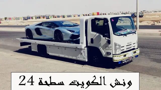 صورة 19 - وصف الصورة