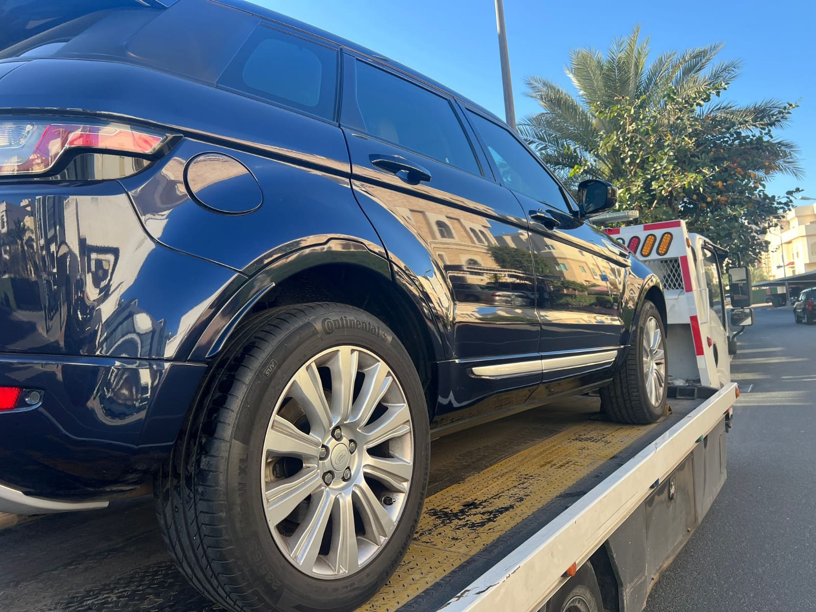 صورة 5 - وصف الصورة